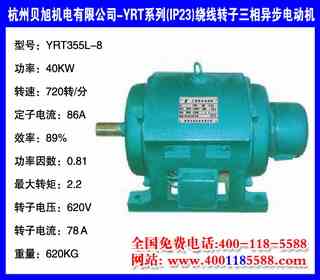 40KW �˼� YRT(IP23)����ת������綯�� YRT355L-8